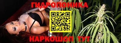 соль курить ск Новокубанск