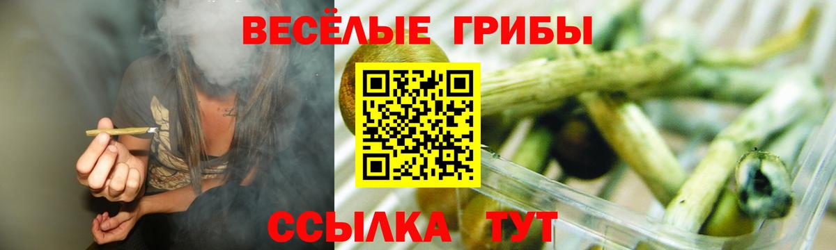 Галлюциногенные грибы Psilocybe Старая Купавна